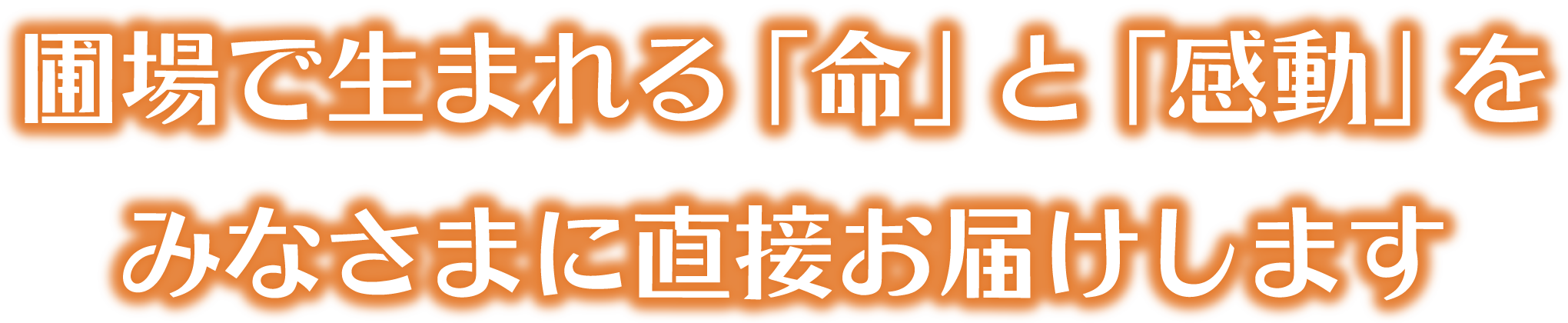 圃場で生まれる「命」と「感動」をみなさまに直接お届けします