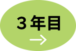 3年目