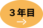 3年目